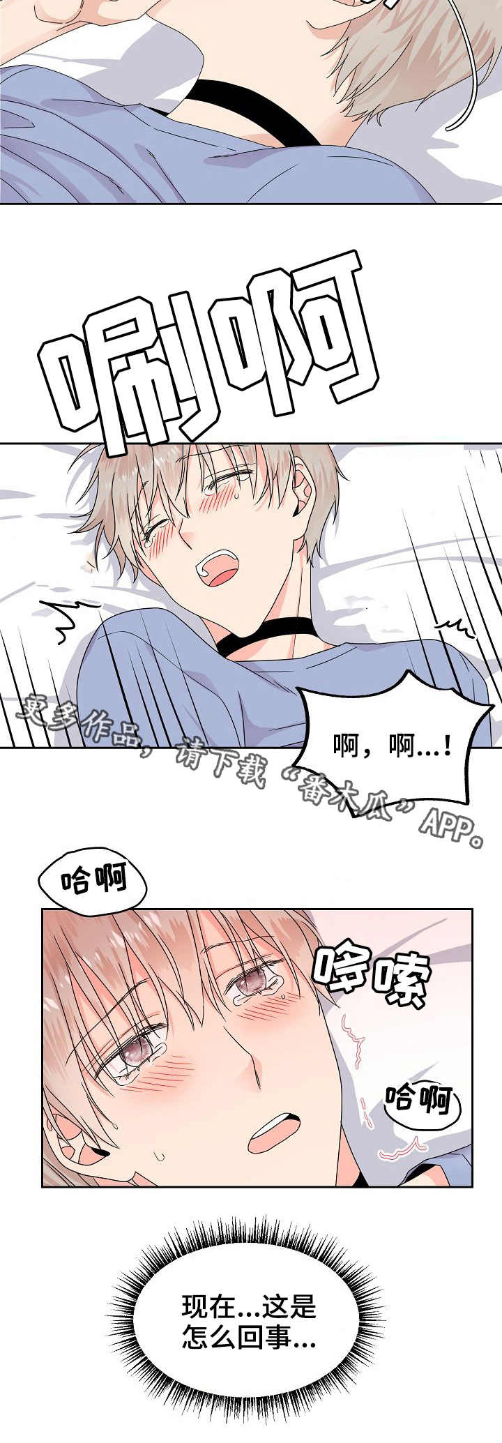 第5章：信息素9