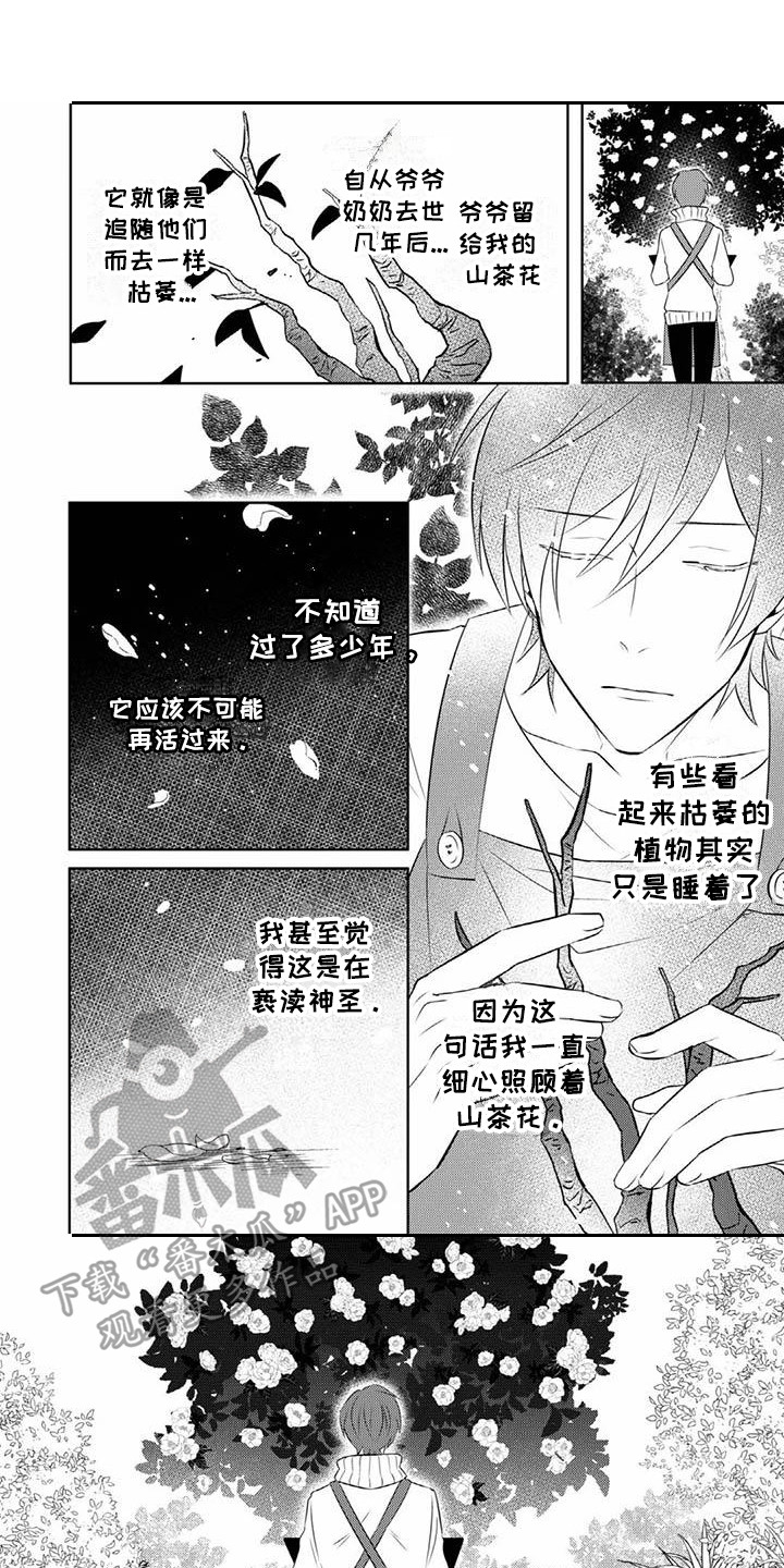 第15章：期待0
