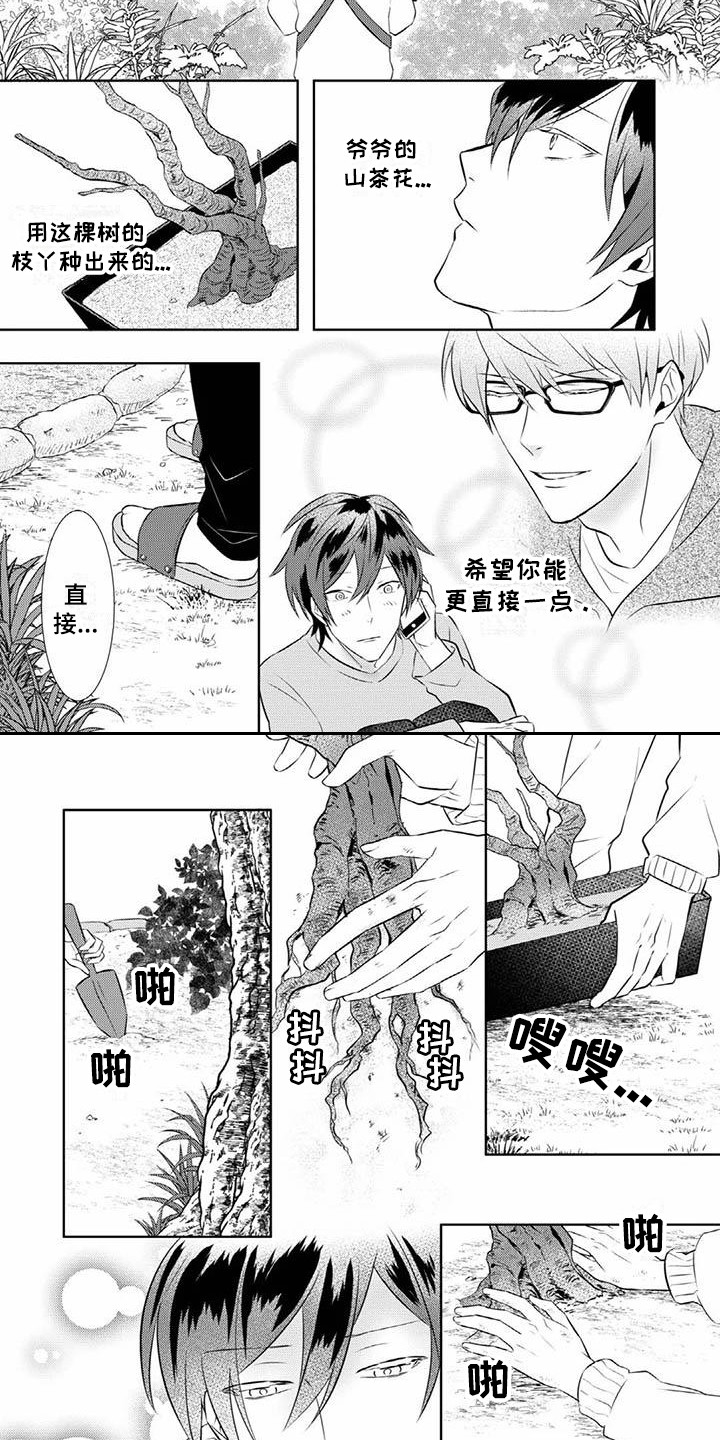 第15章：期待1