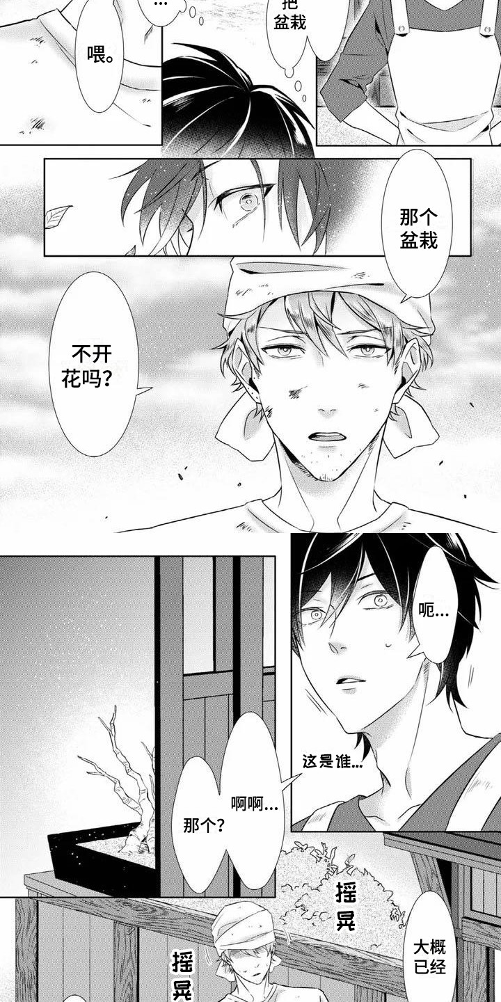 第1章：花店6