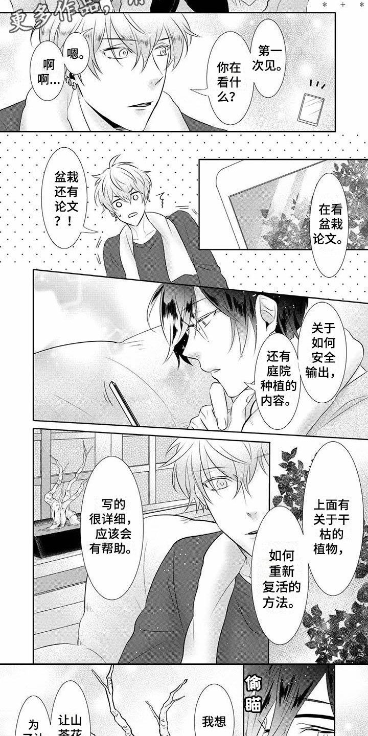第11章：尝试2