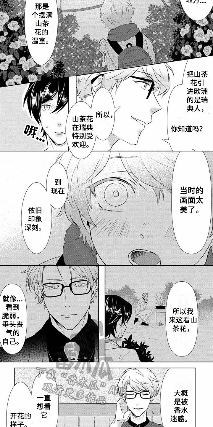第4章：奇妙的人3