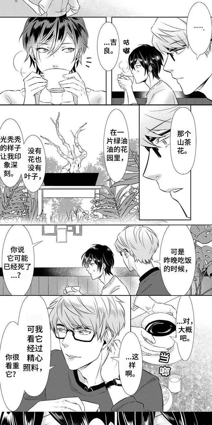 第3章：谢礼7