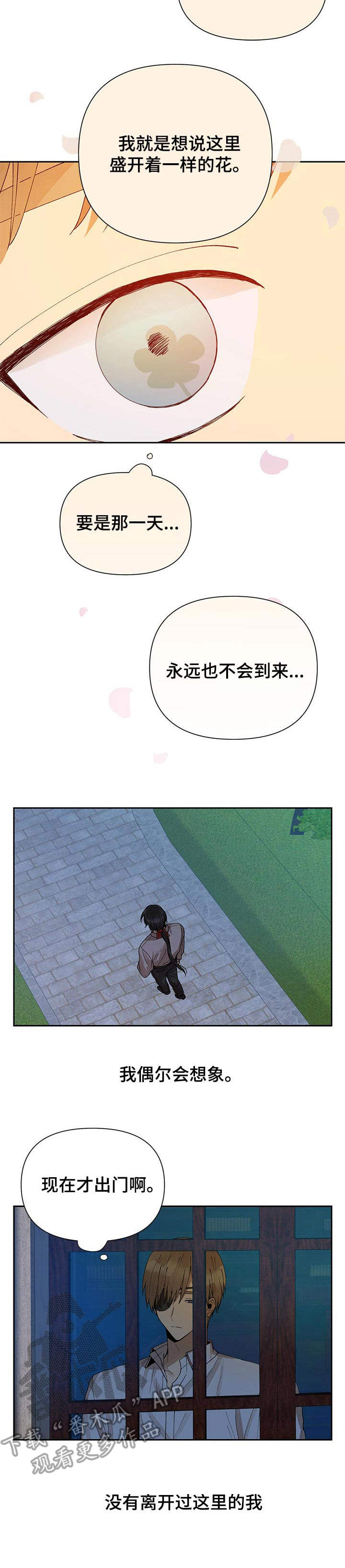 第8章：银莲花6