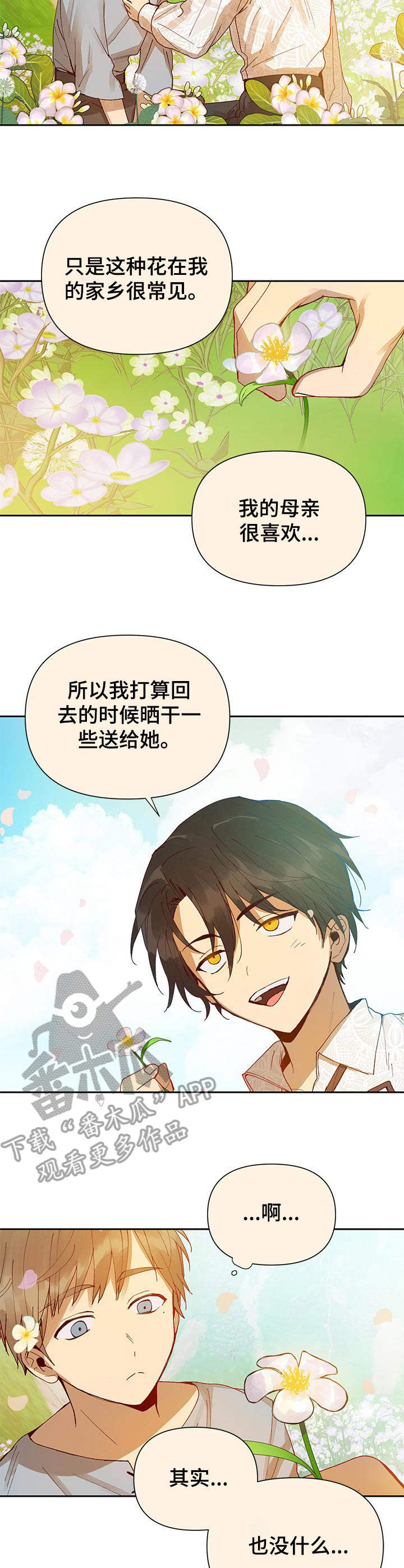 第8章：银莲花5
