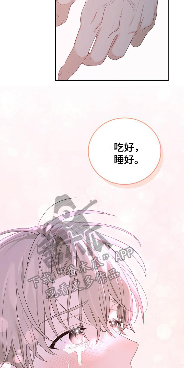 第19章：不会让你受伤12