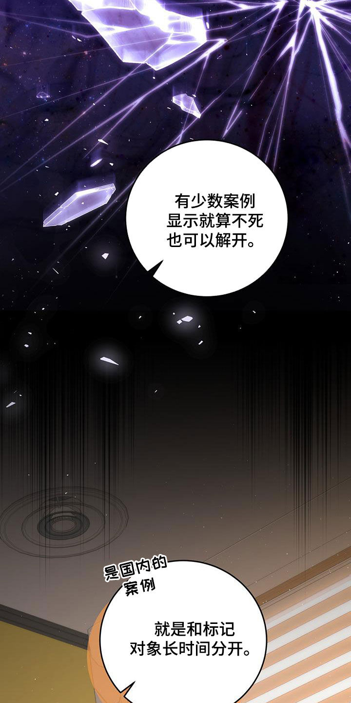 第49章：枷锁13