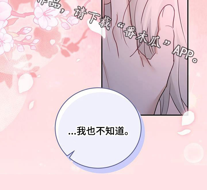 第52章：喜欢的理由30