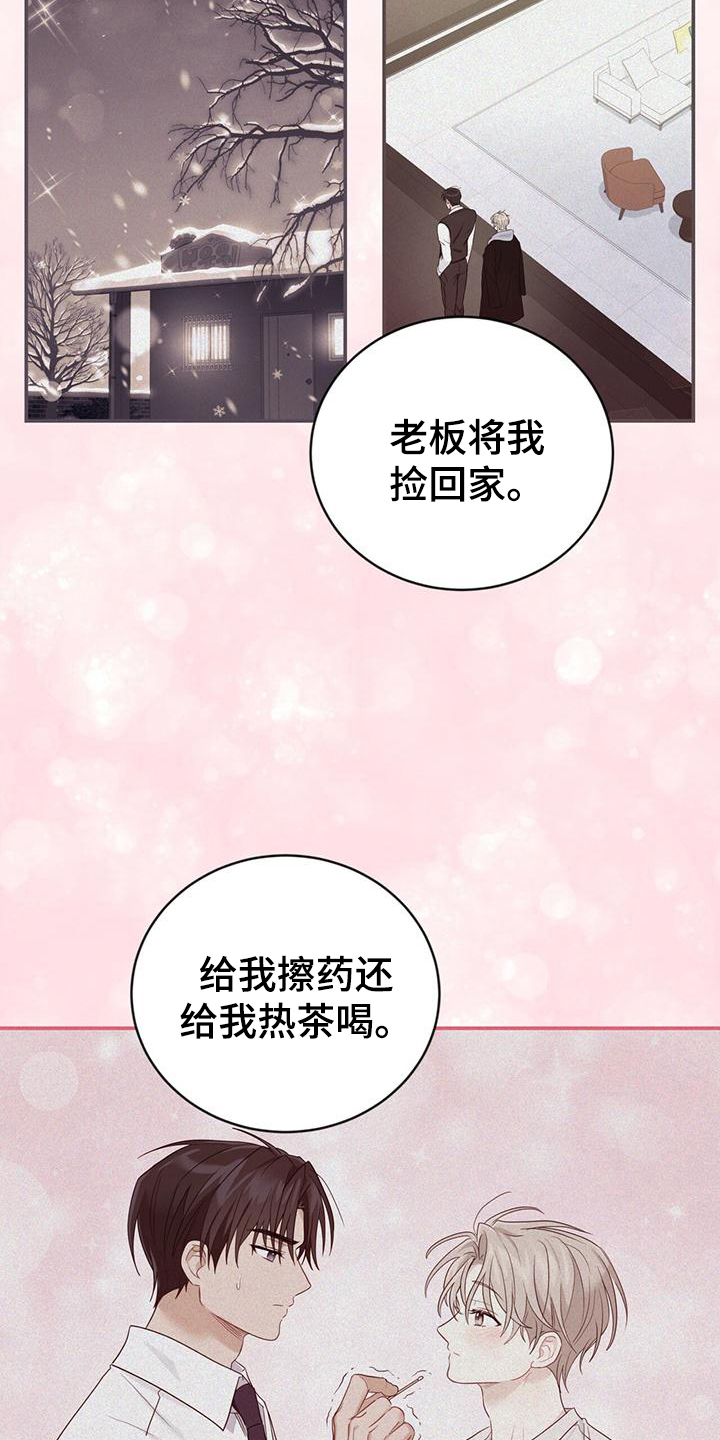 第19章：不会让你受伤6