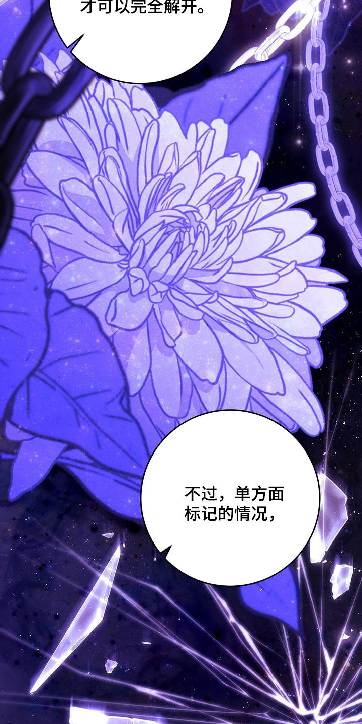 第49章：枷锁12