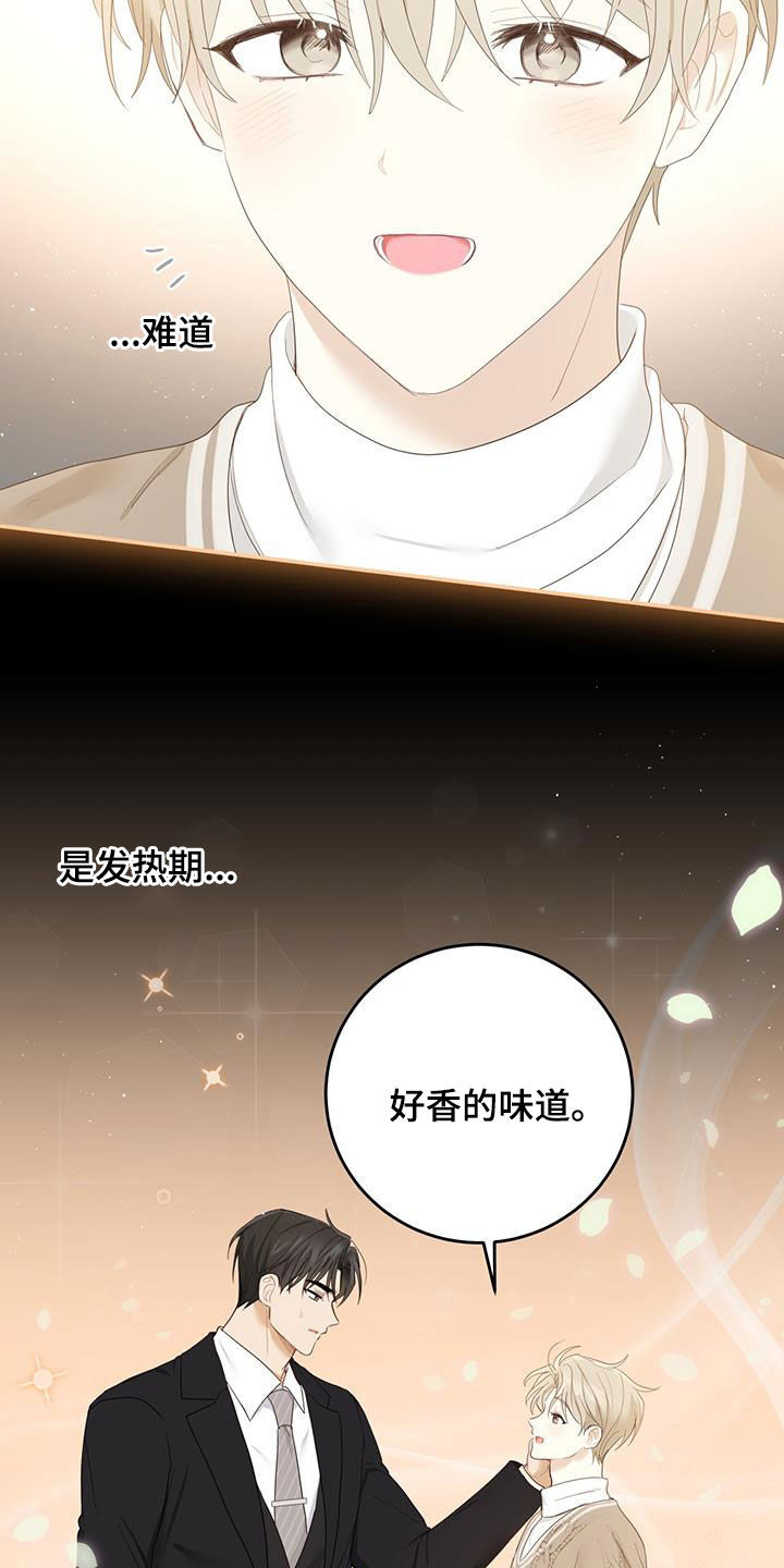 第46章：信息素的味道19