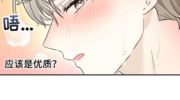 第4章：带回家17