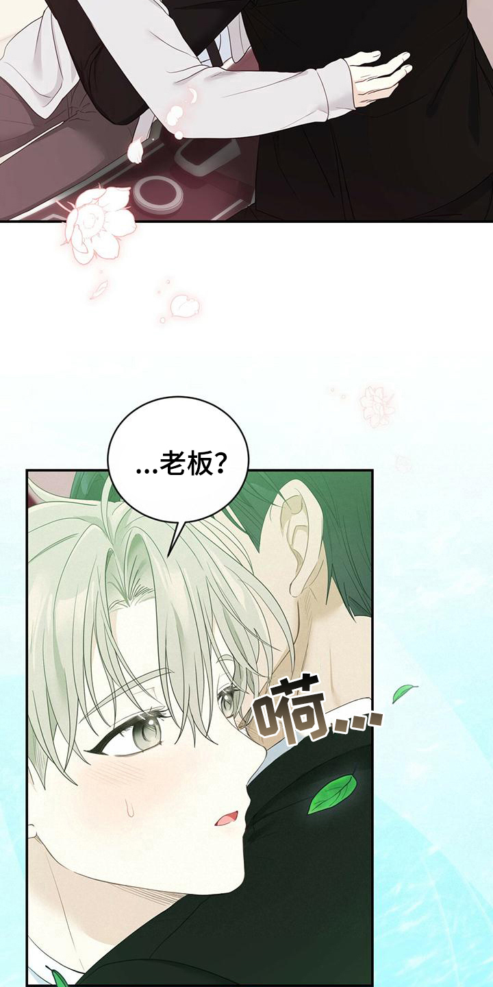 第26章：信息素1