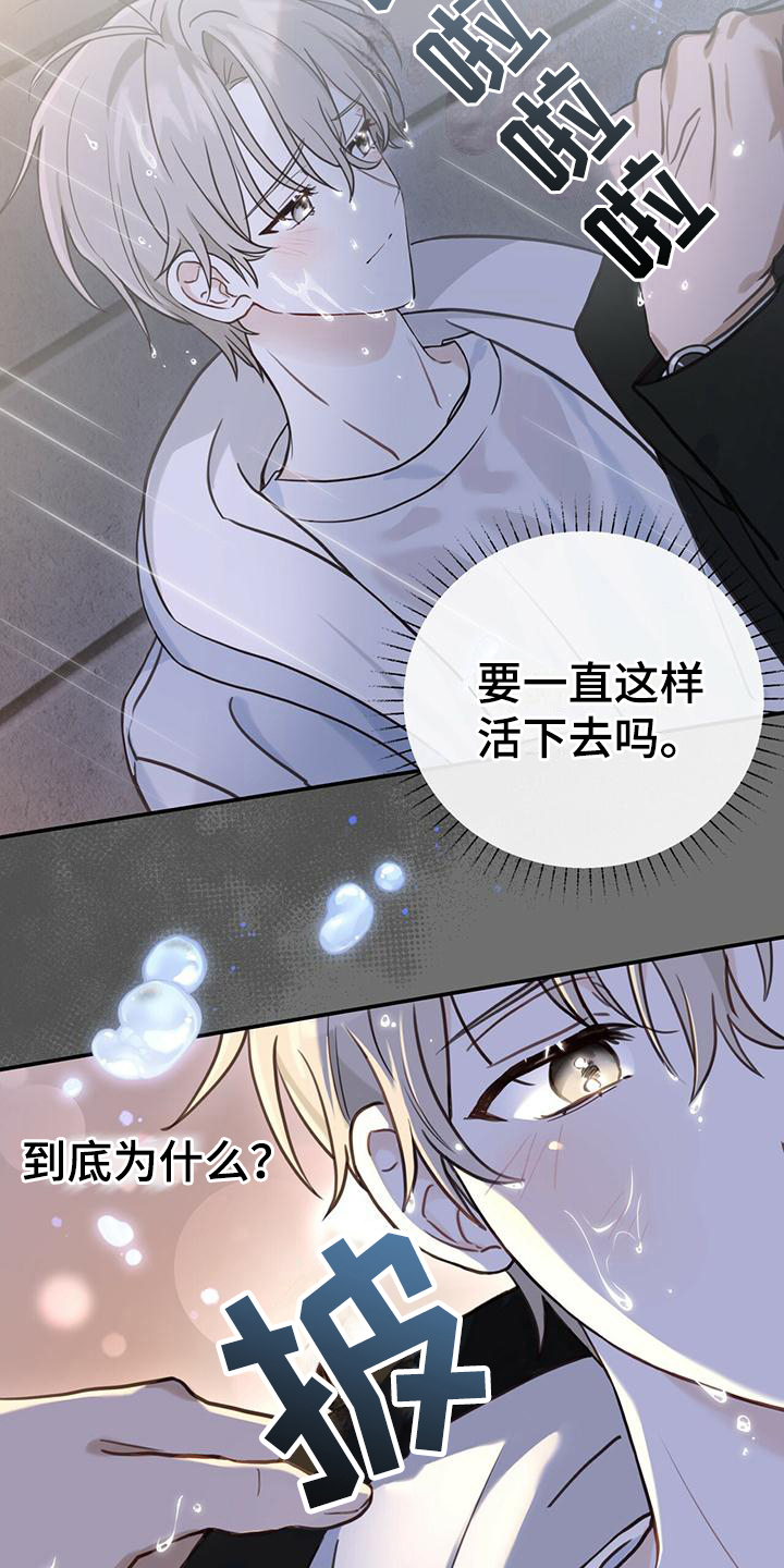 第3章：无助14