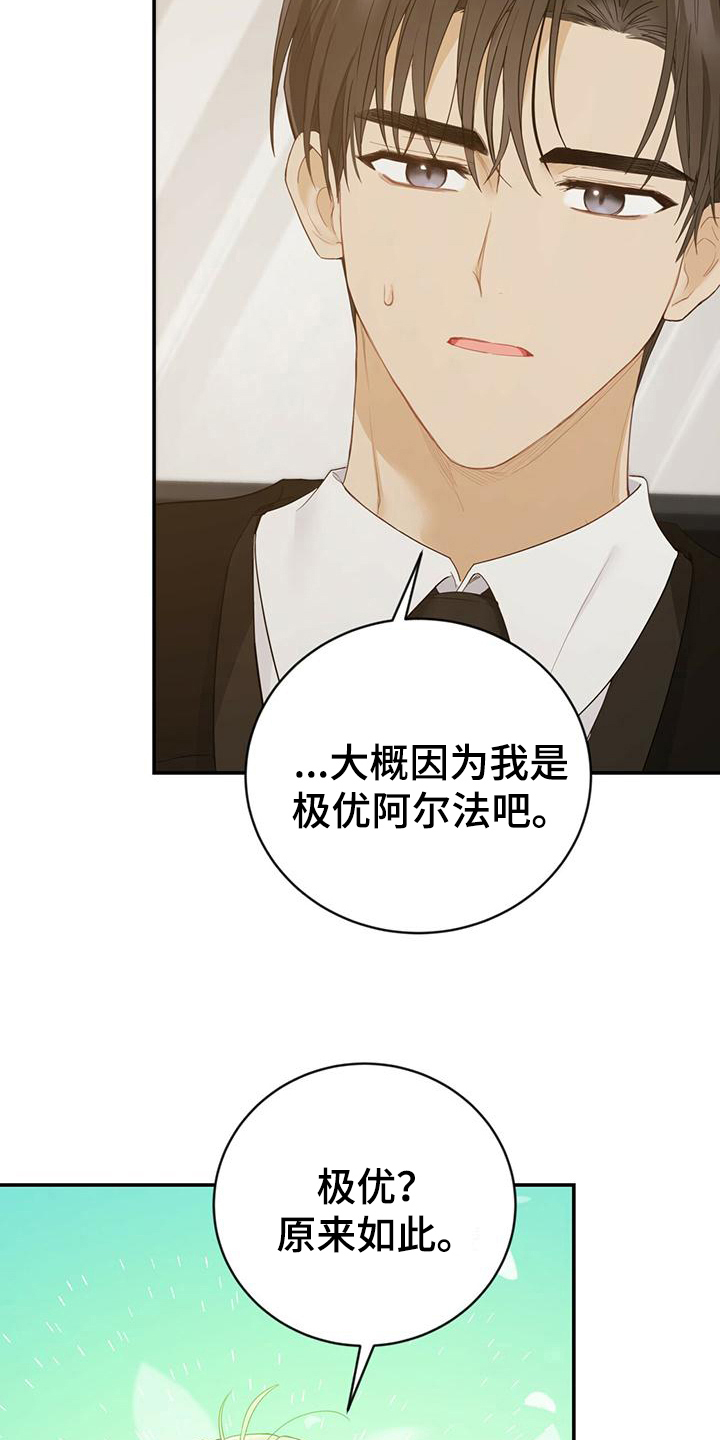 第26章：信息素6