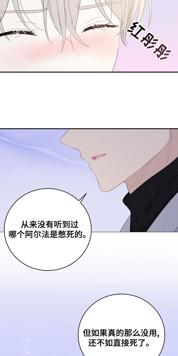 第40章：尊重你14