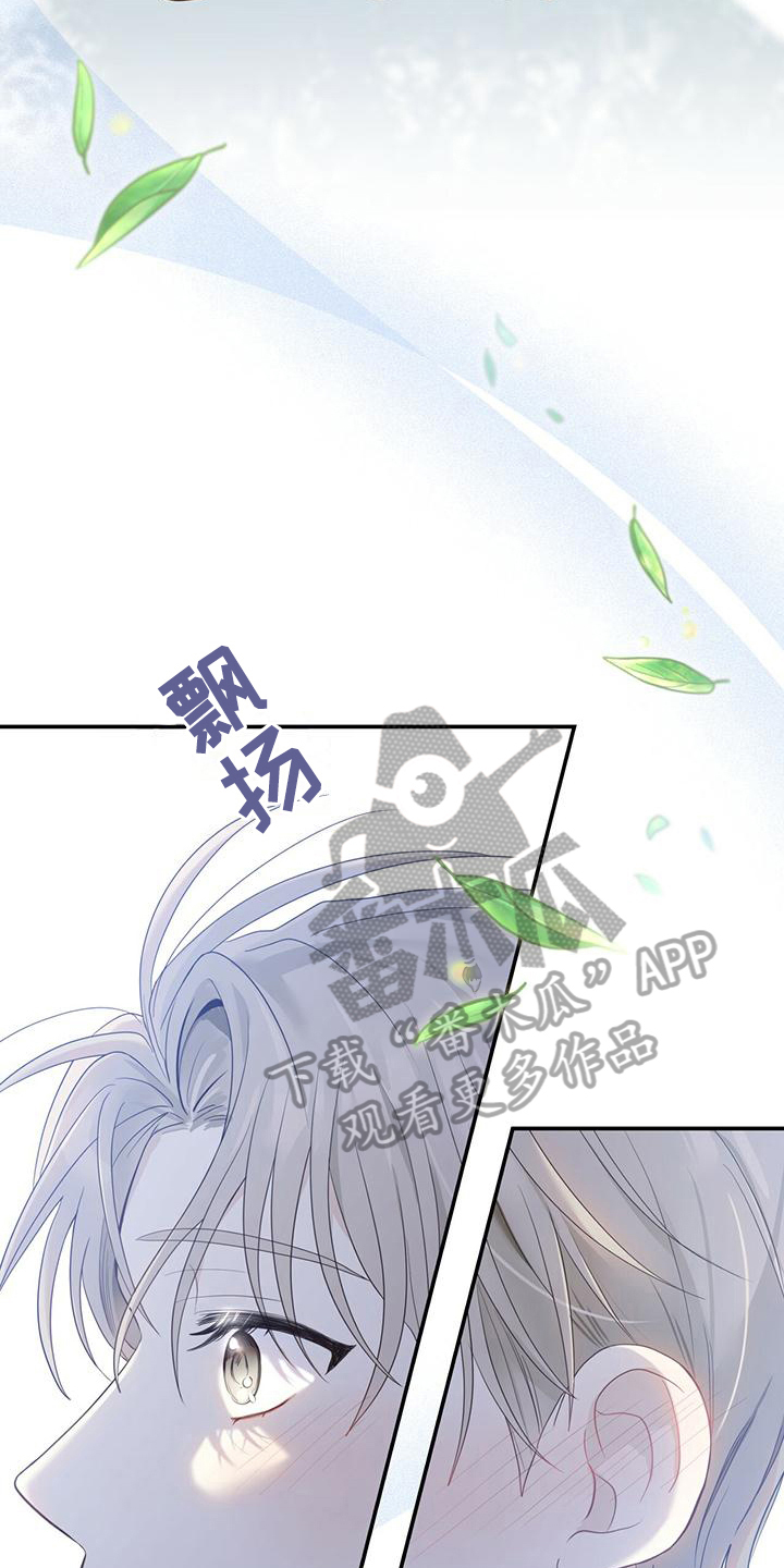 第21章：随意11