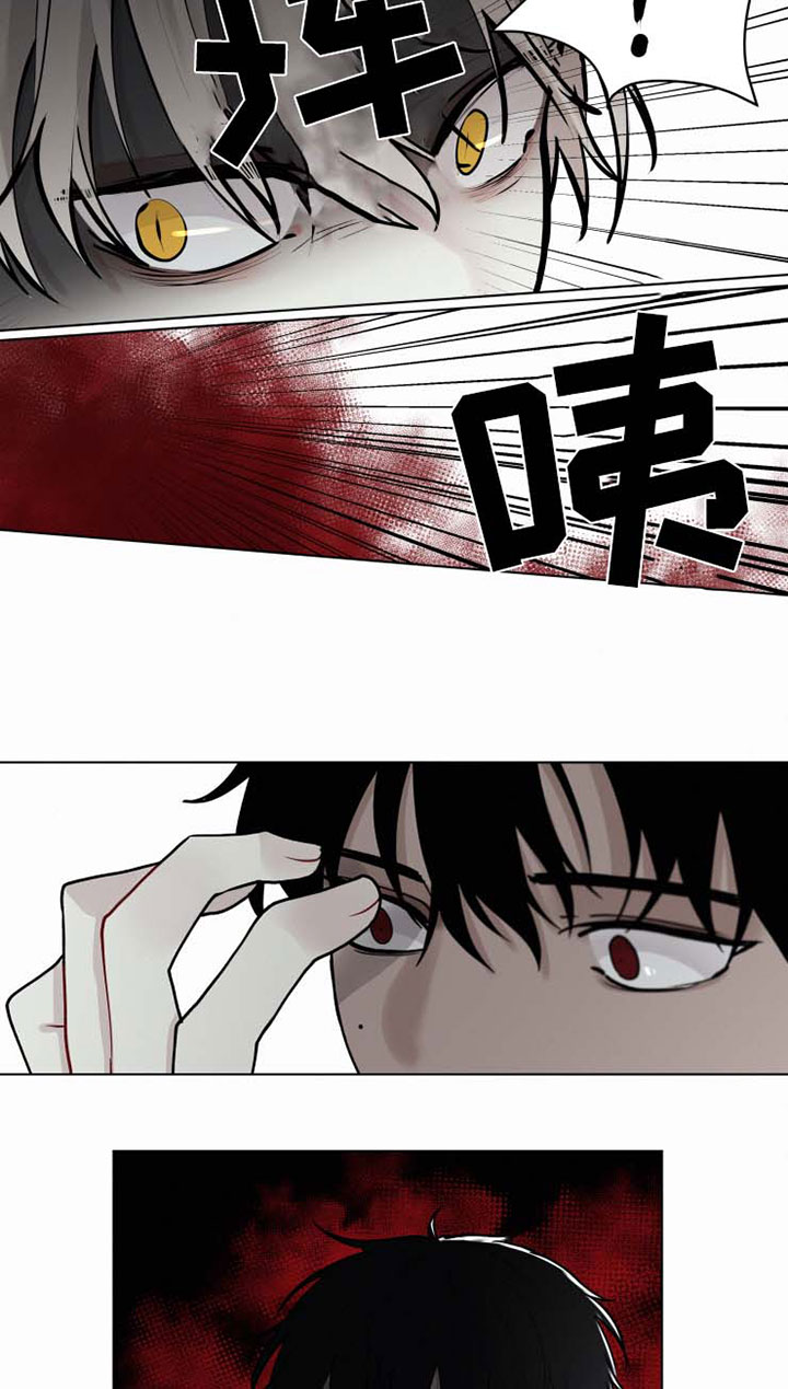 第34章：不会依靠任何人8