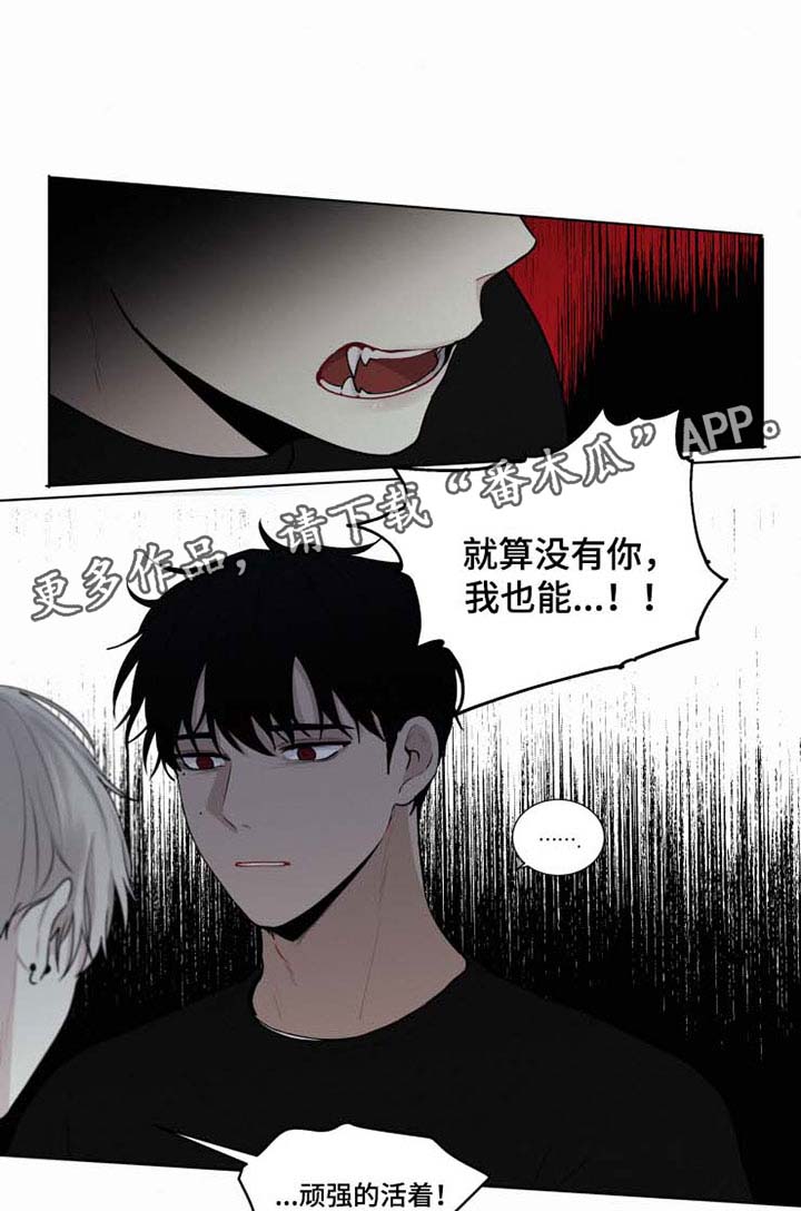 第34章：不会依靠任何人11