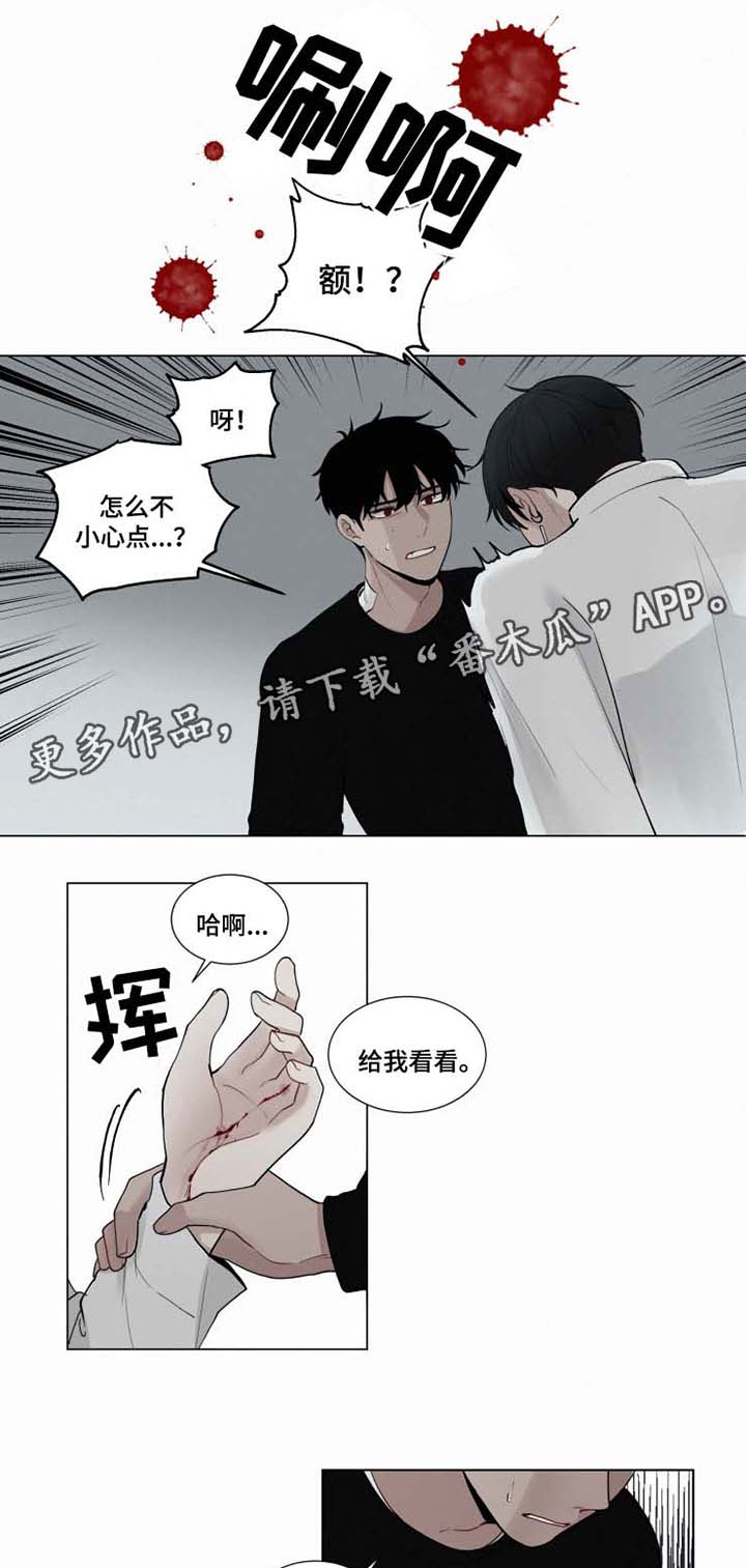 第31章：迟了8