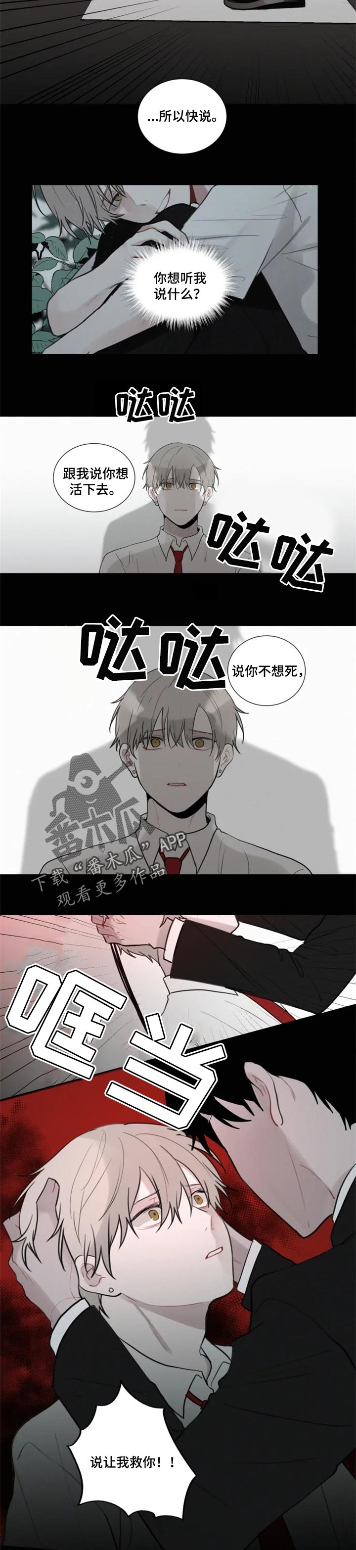 第100章：【第二季】开始实验3