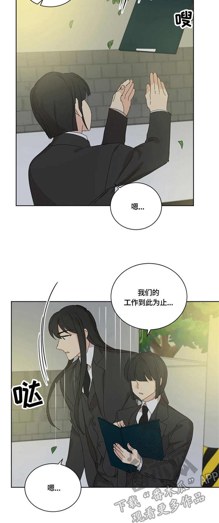 第55章：决定1