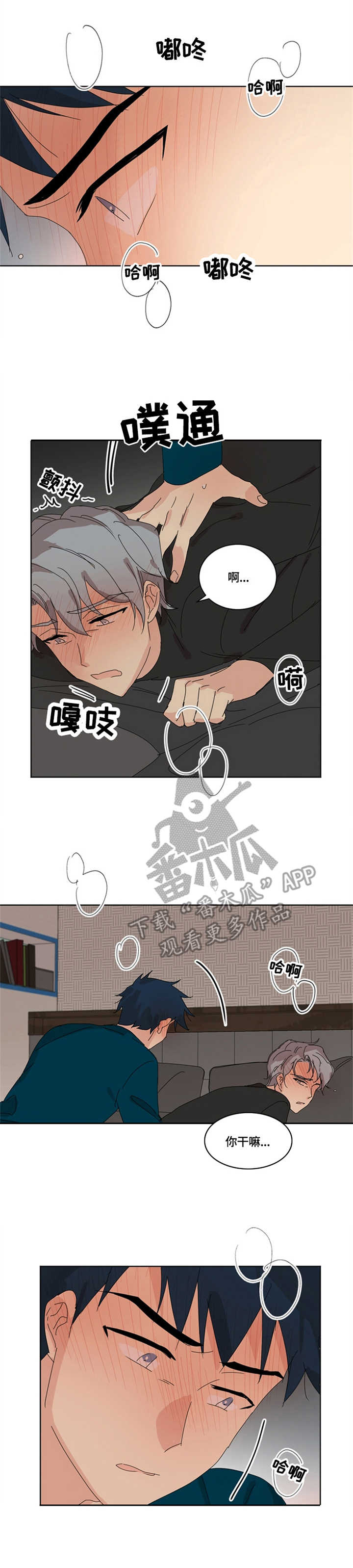 第16章：脆弱1