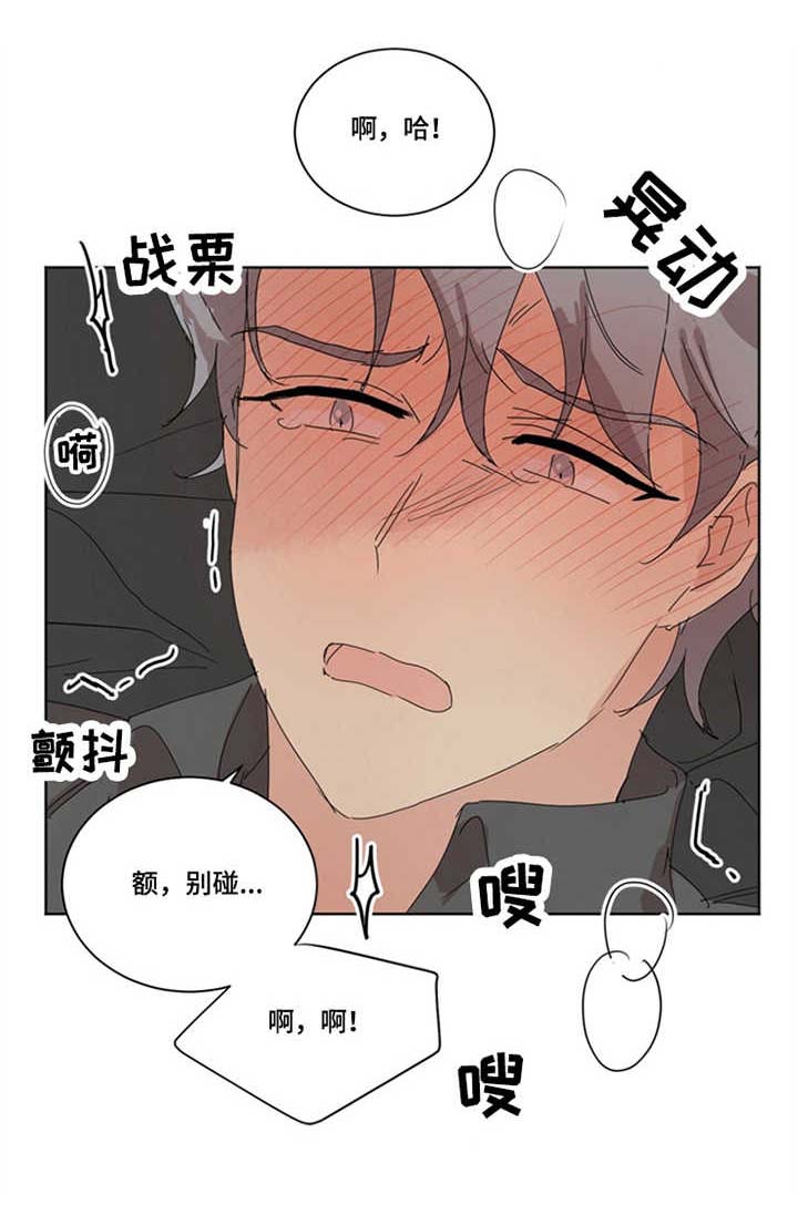 第23章：固执8