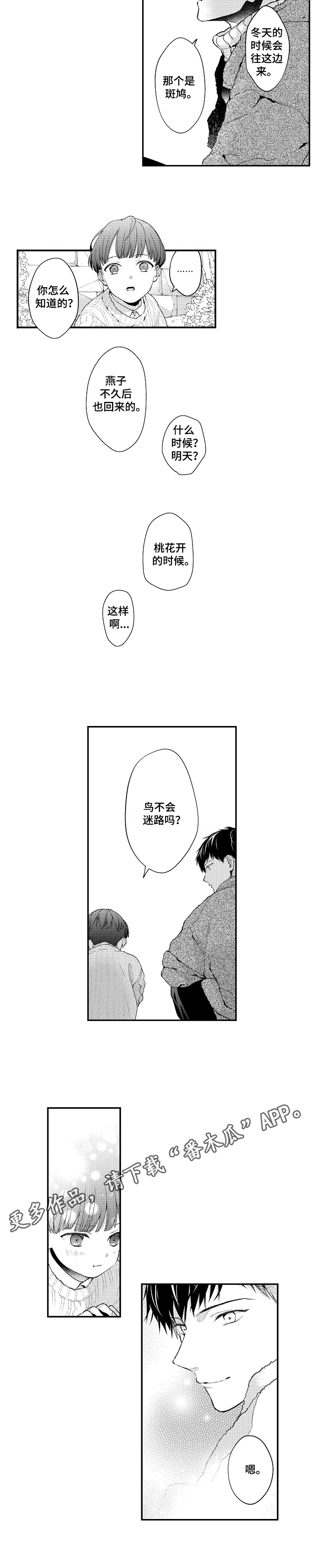 第27章：归巢之鸟7