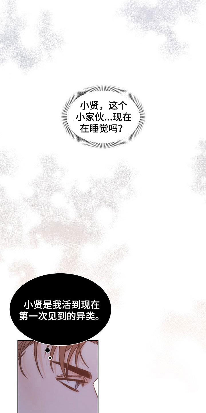 第29章：计划9