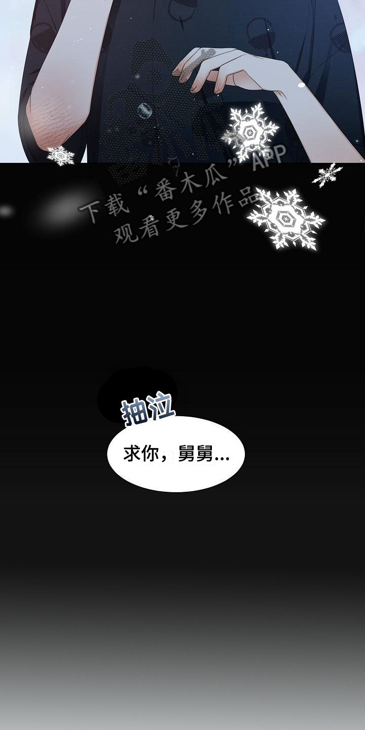 第11章：陪伴17