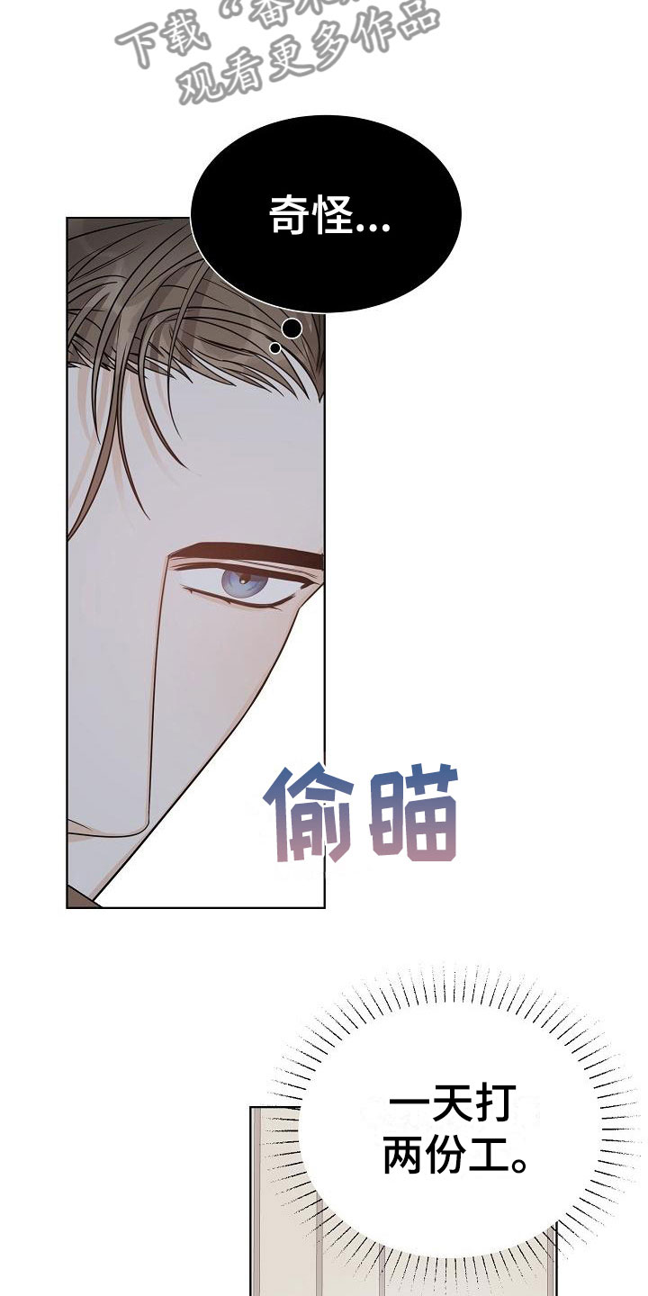 第12章：迷思15