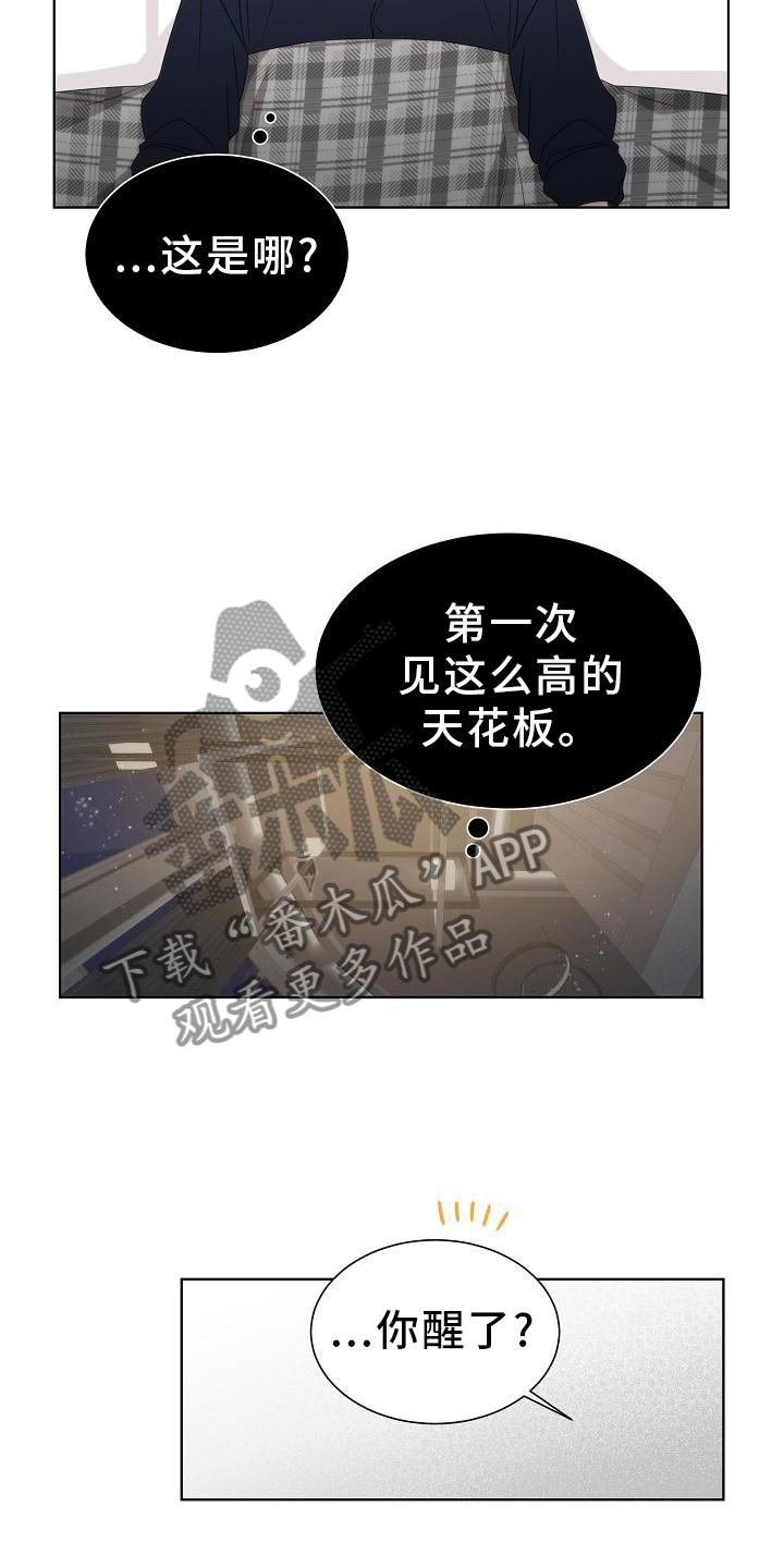 第34章：【第二季】小松鼠8