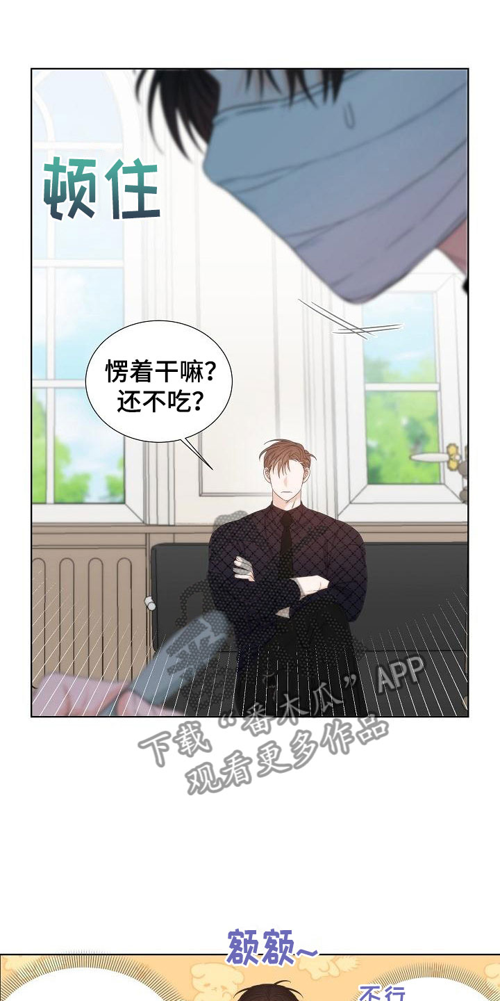 第6章：观察0