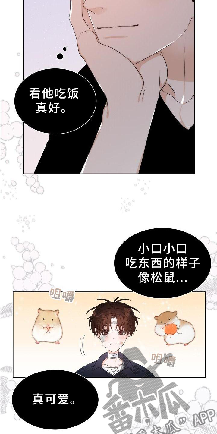 第34章：【第二季】小松鼠18