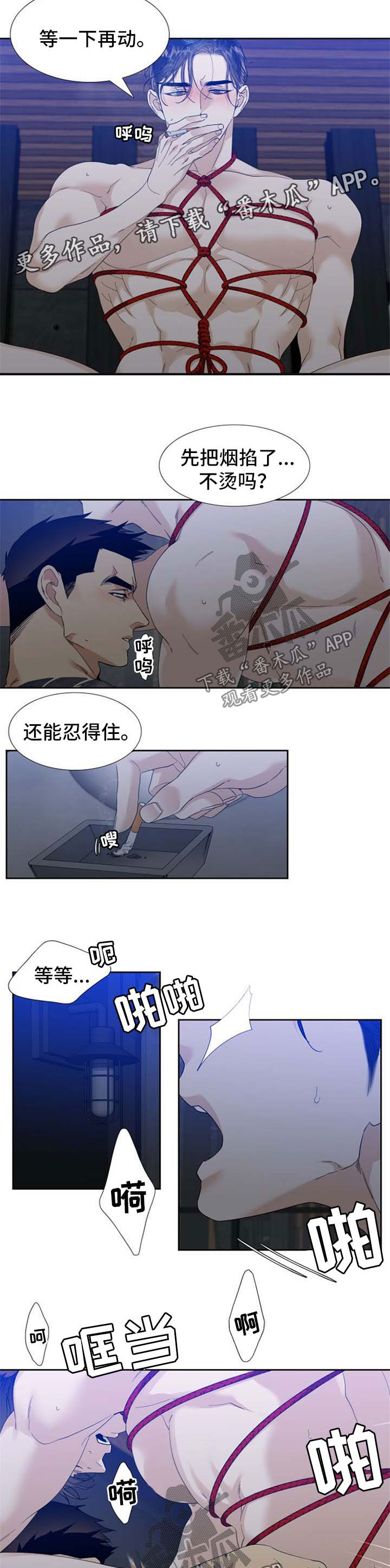 第63章：不要干涉我5