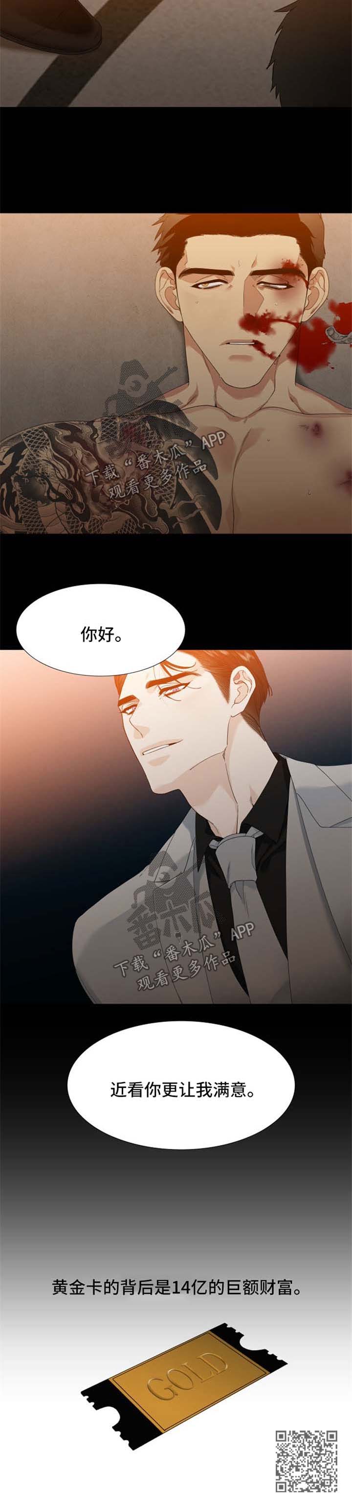 第40章：黄金卡5