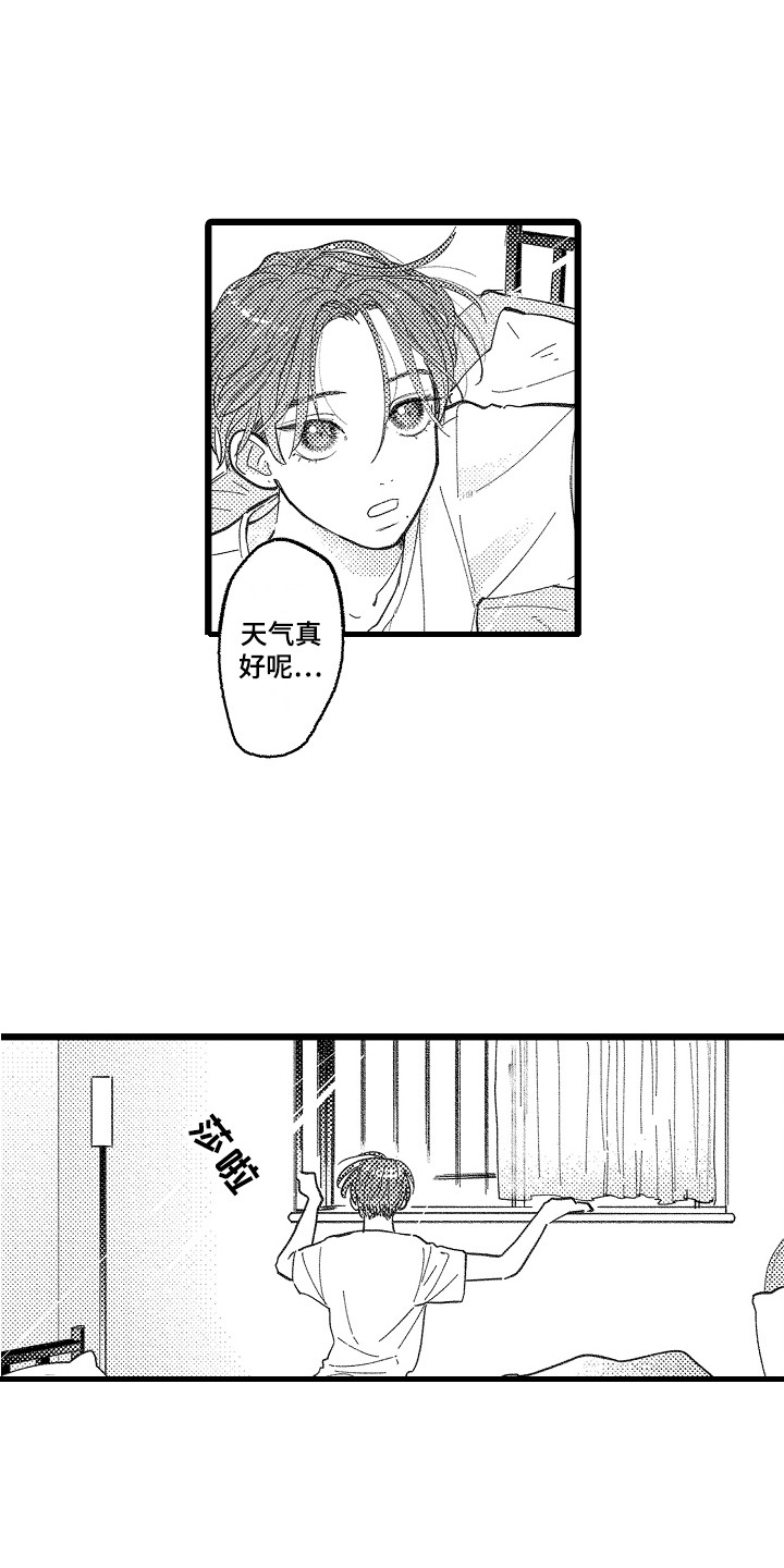 第13章：真实想法5