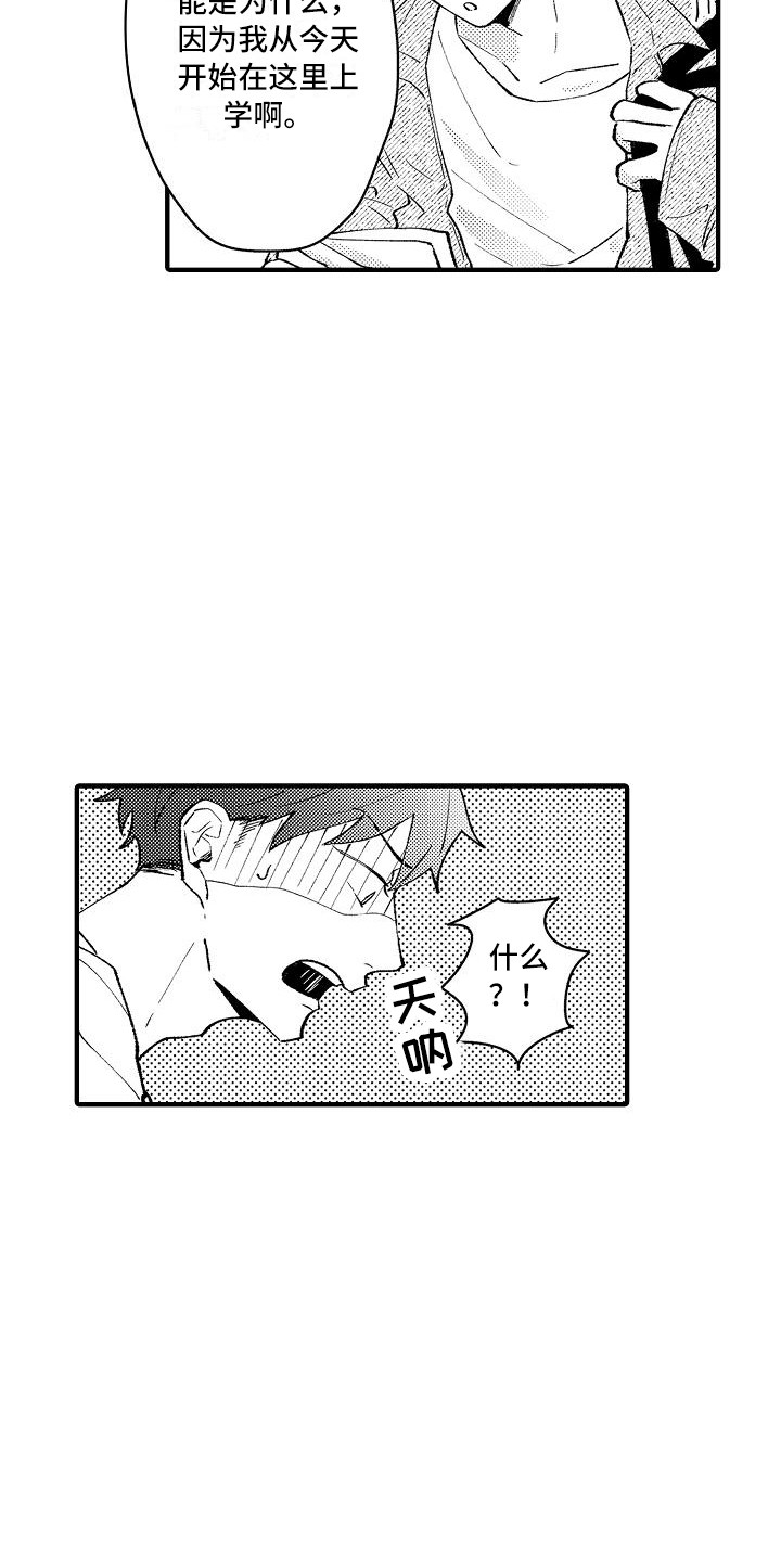 第4章：帮手社团8