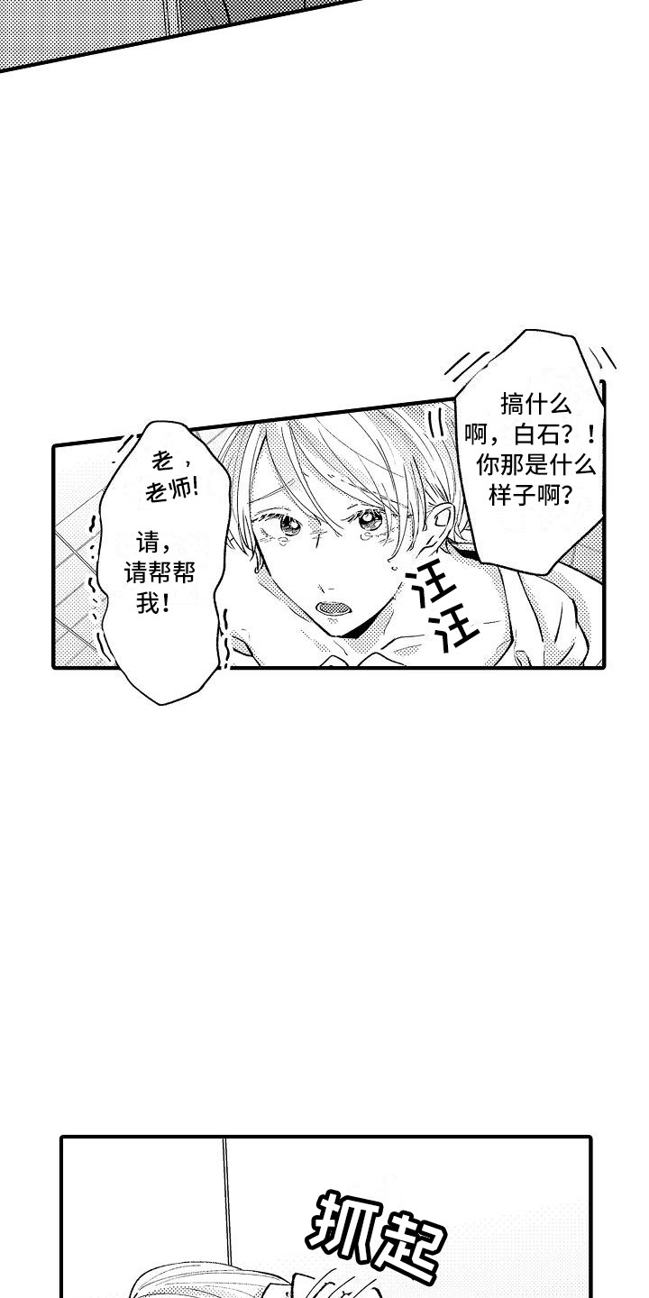 第2章：摆好的饭桌5