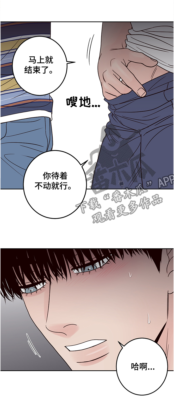 第44章：我来吩咐5