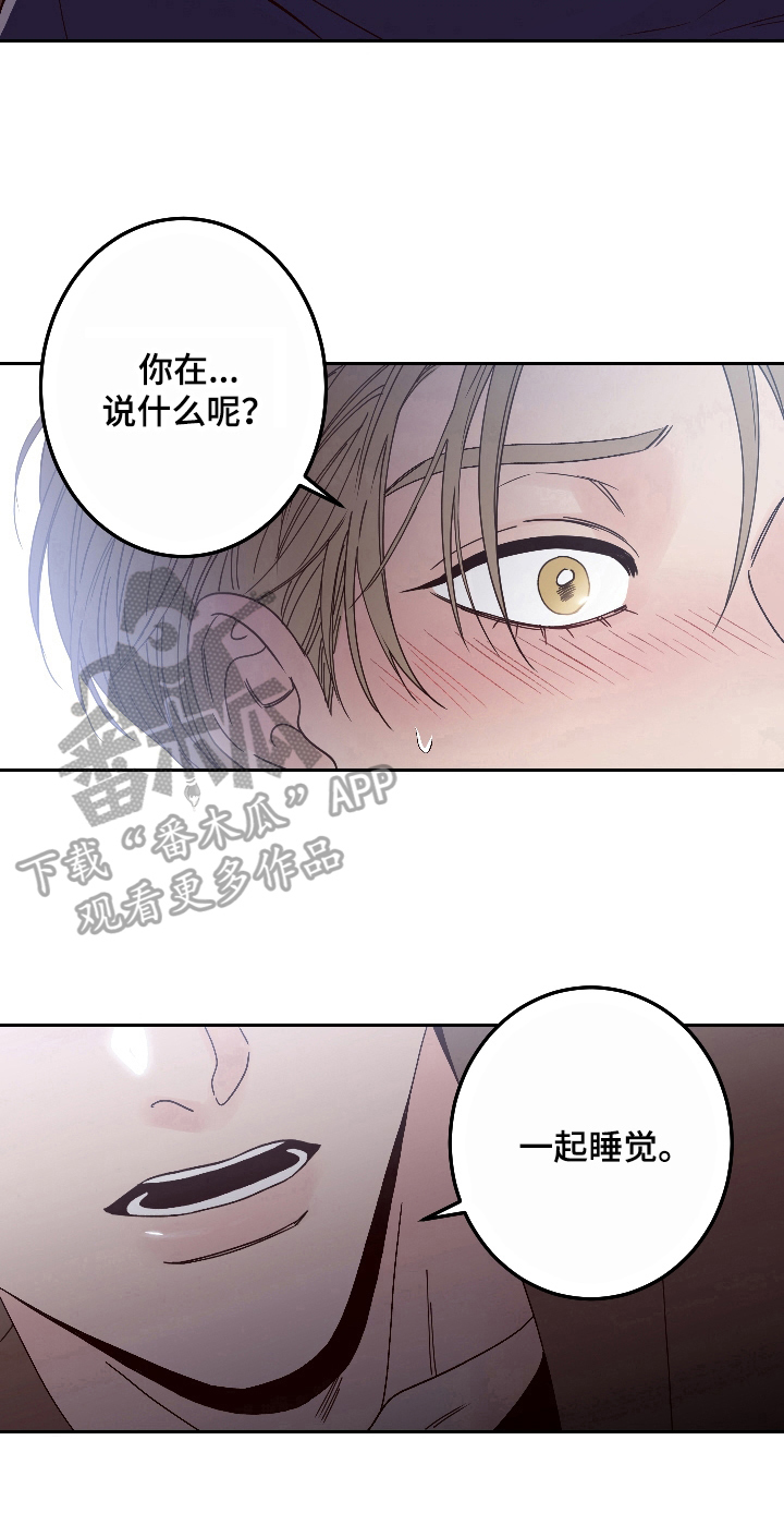 第5章：提议9