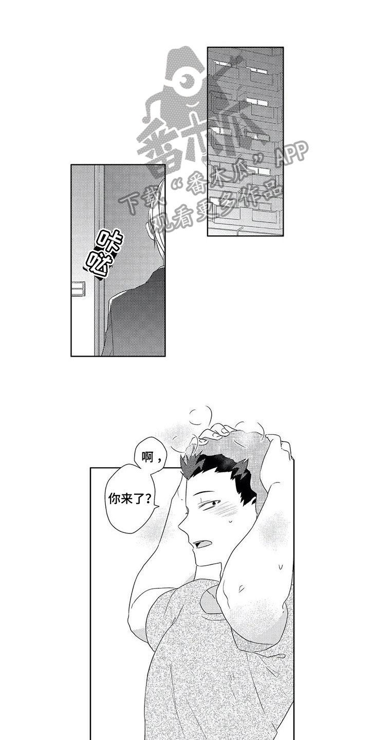 第11章：想法0