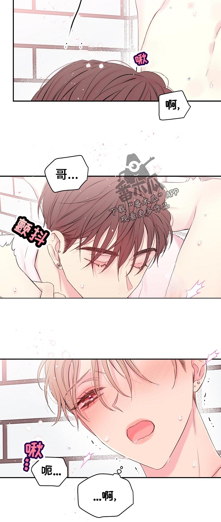 第38章：发热3