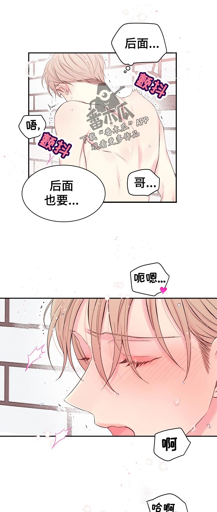 第38章：发热4