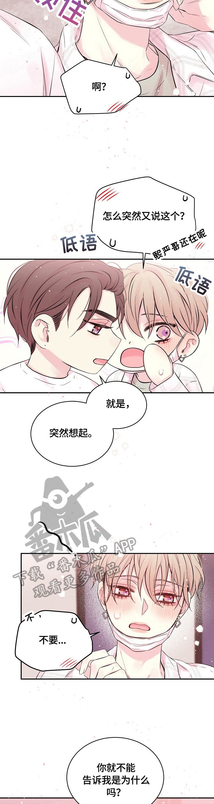 第22章：心墙倒塌2