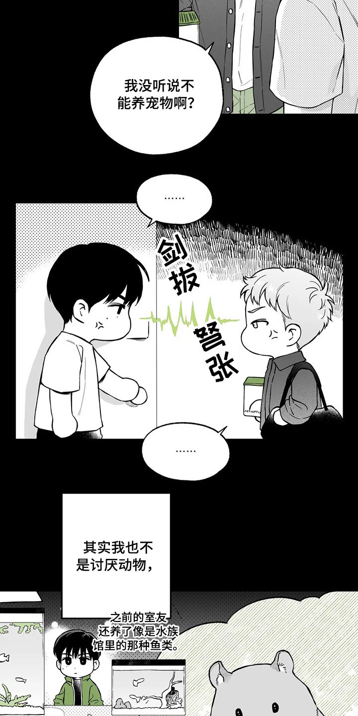 第98章：【第二季】规则4