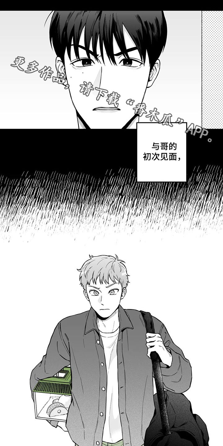 第98章：【第二季】规则0