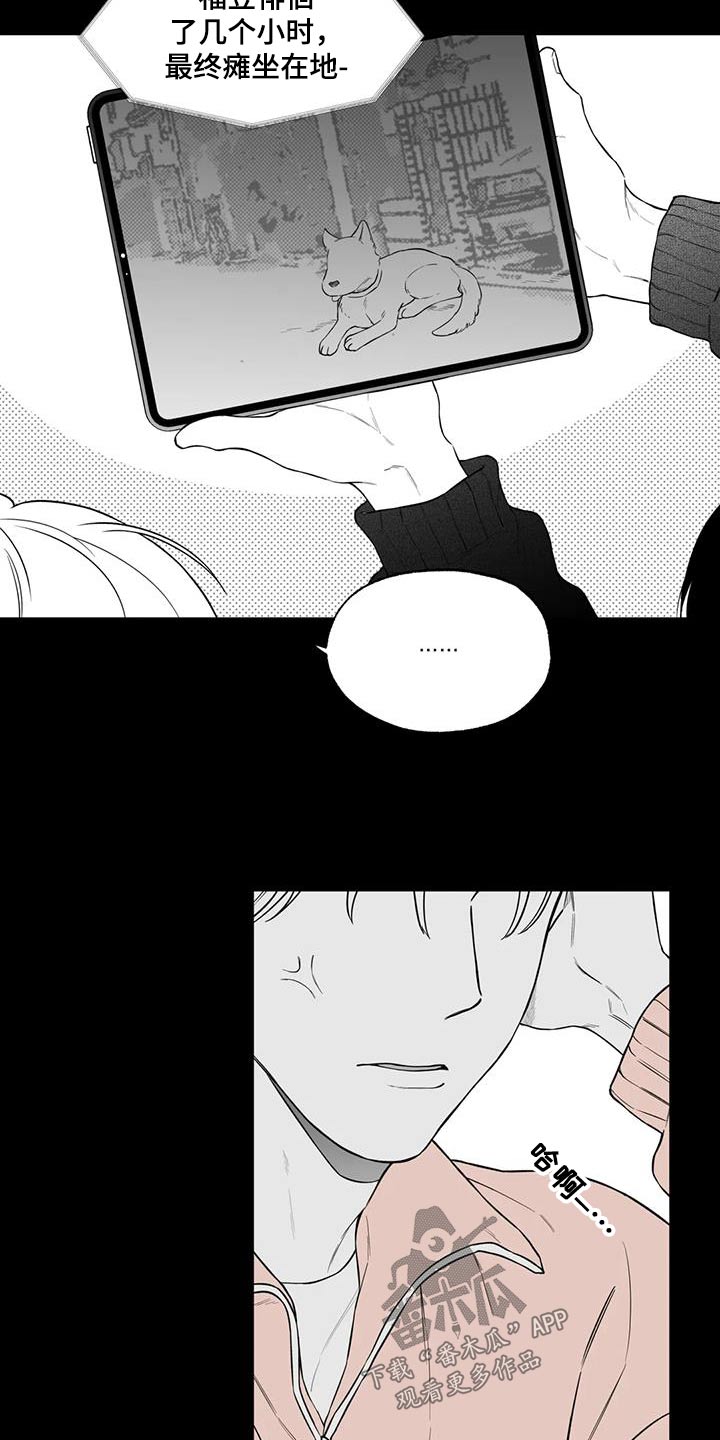 第123章：【番外】计划7