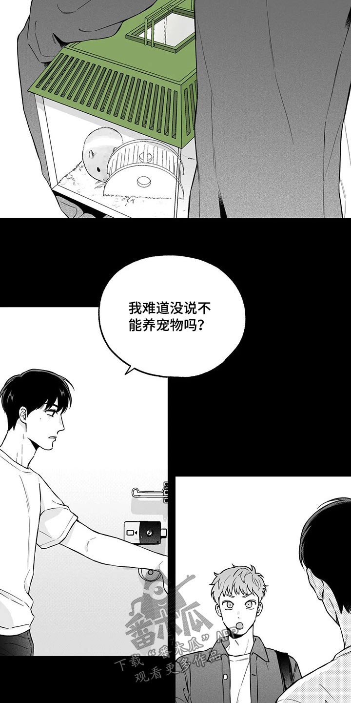 第98章：【第二季】规则3